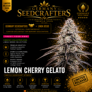 Lemon Cherry Gelato