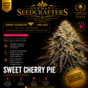 Sweet Cherry Pie