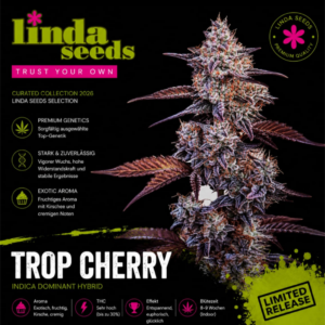 Trop Cherry