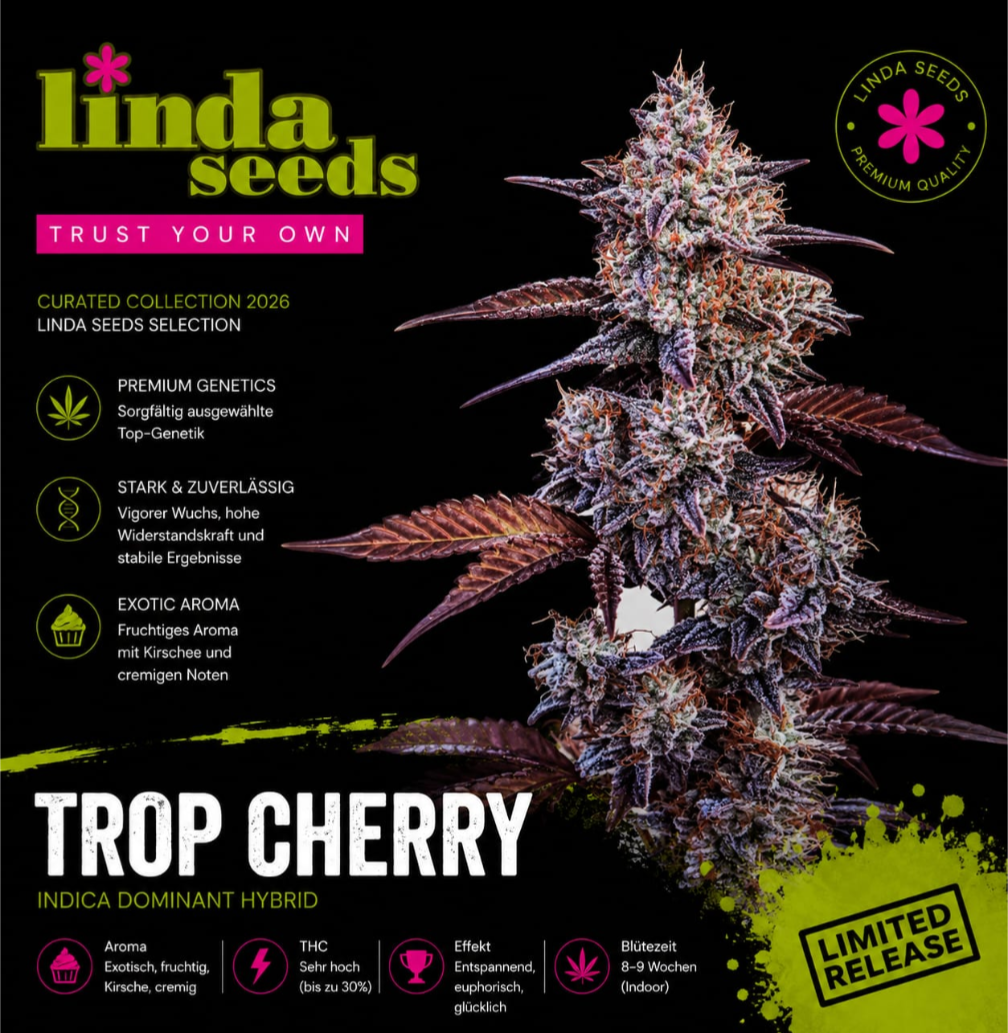 Trop Cherry