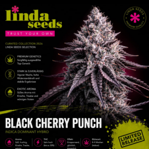 Black Cherry Punch