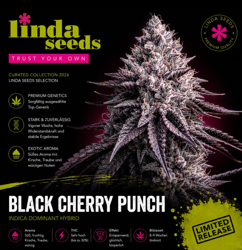 Black Cherry Punch