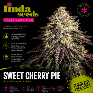 Sweet Cherry Pie