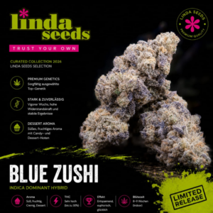 Blue Zushi