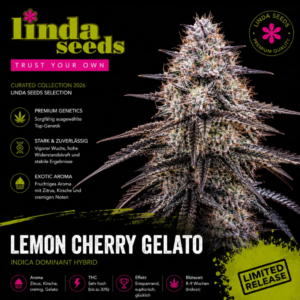 Lemon Cherry Gelato
