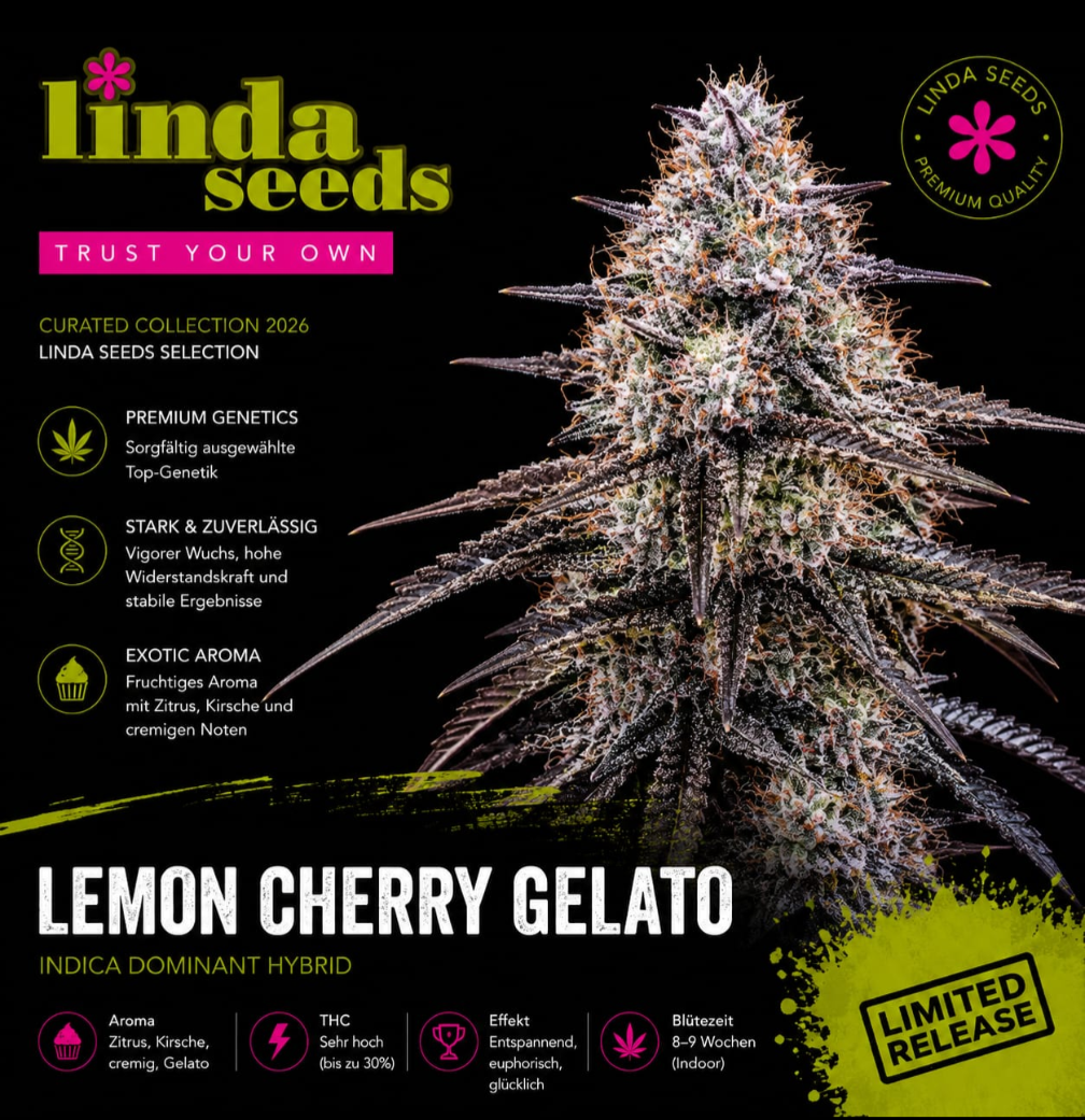 Lemon Cherry Gelato