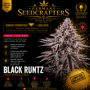 Black Runtz