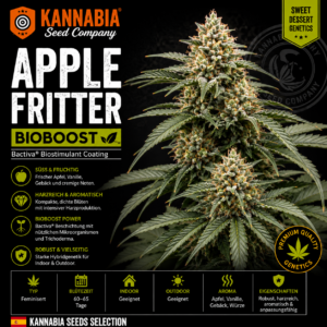 APPLE FRITTER BIOBOOST