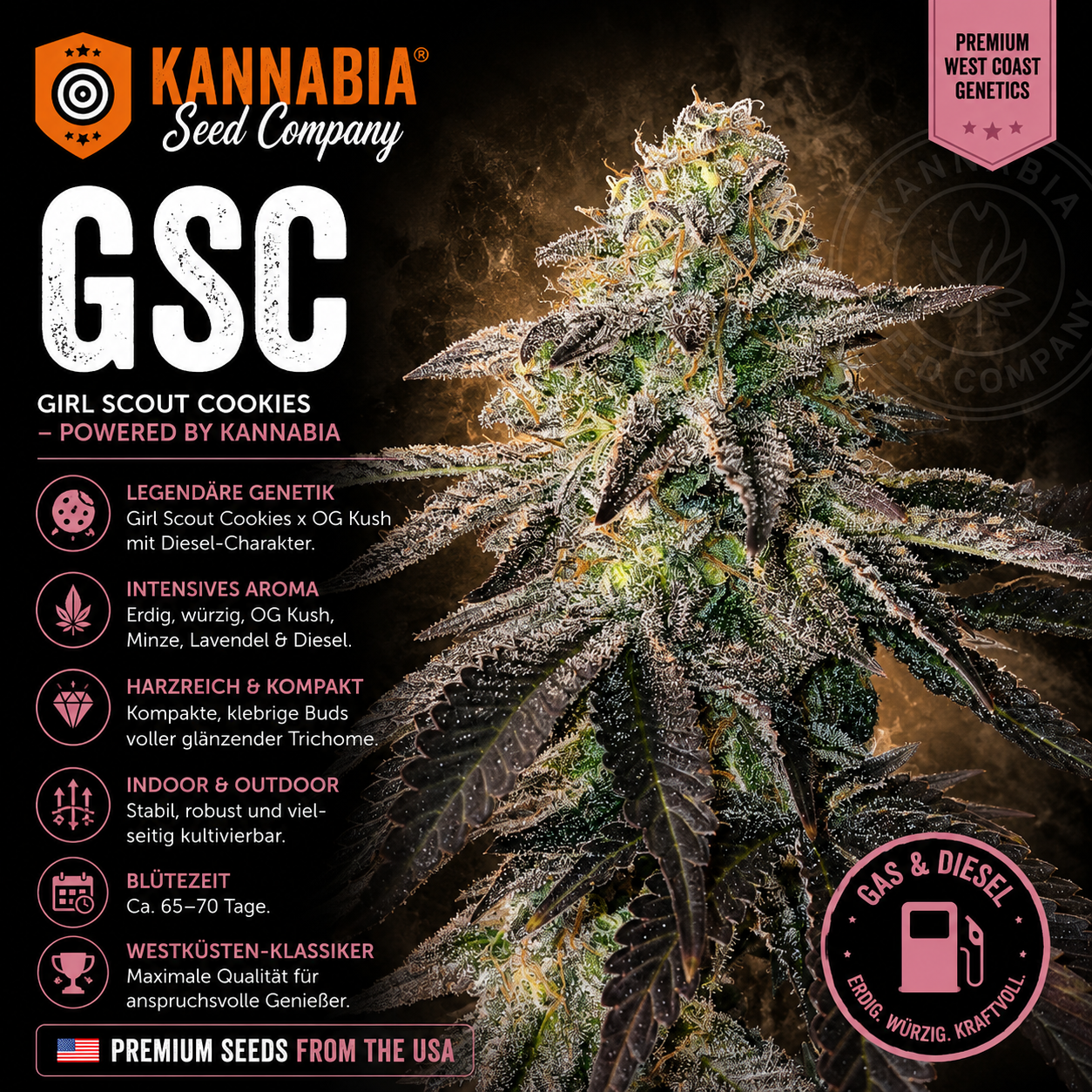 GSC