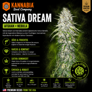 SATIVA DREAM