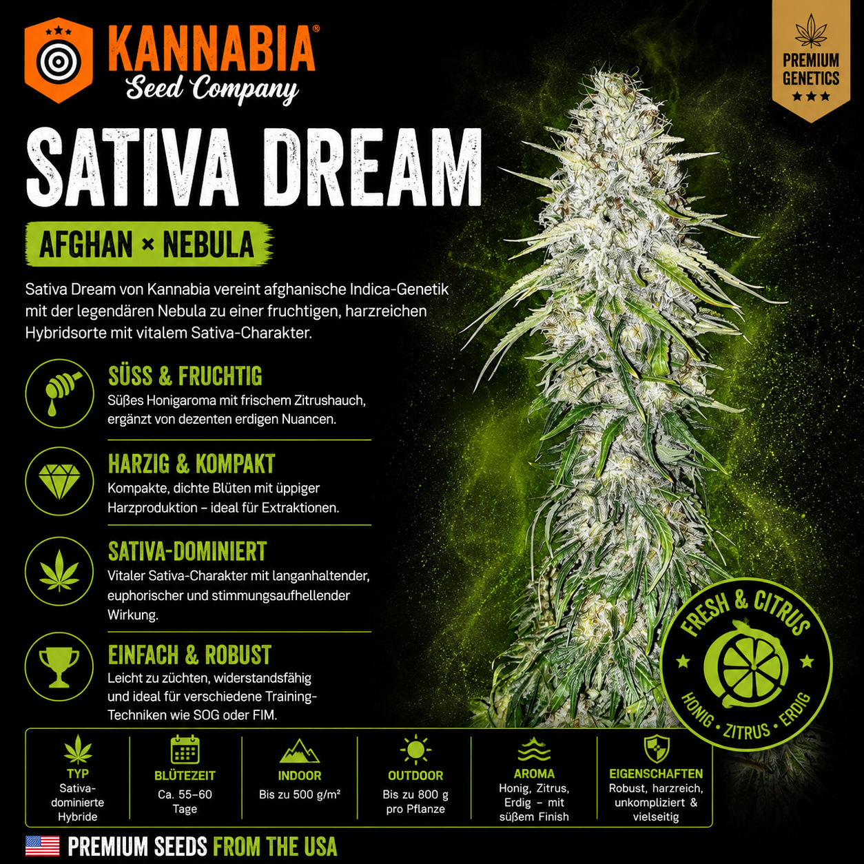 SATIVA DREAM