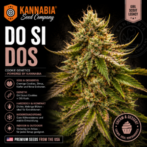 DOSIDOS