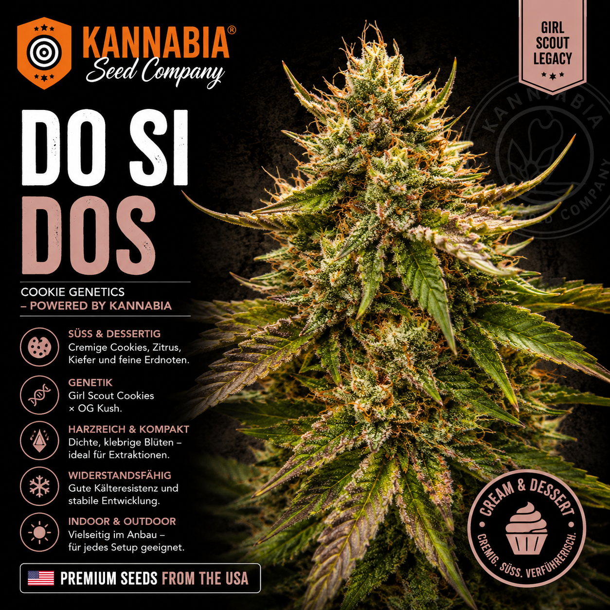 DOSIDOS