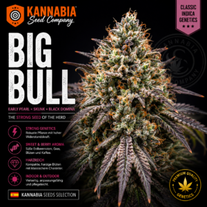BIG BULL