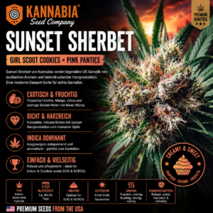 SUNSET SHERBET