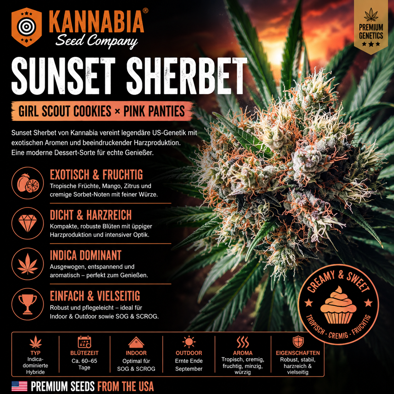 SUNSET SHERBET