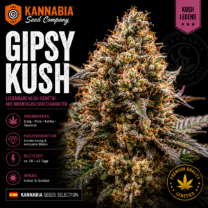 GYPSY KUSH