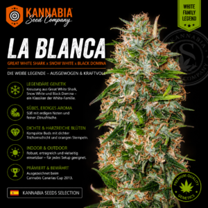 LA BLANCA