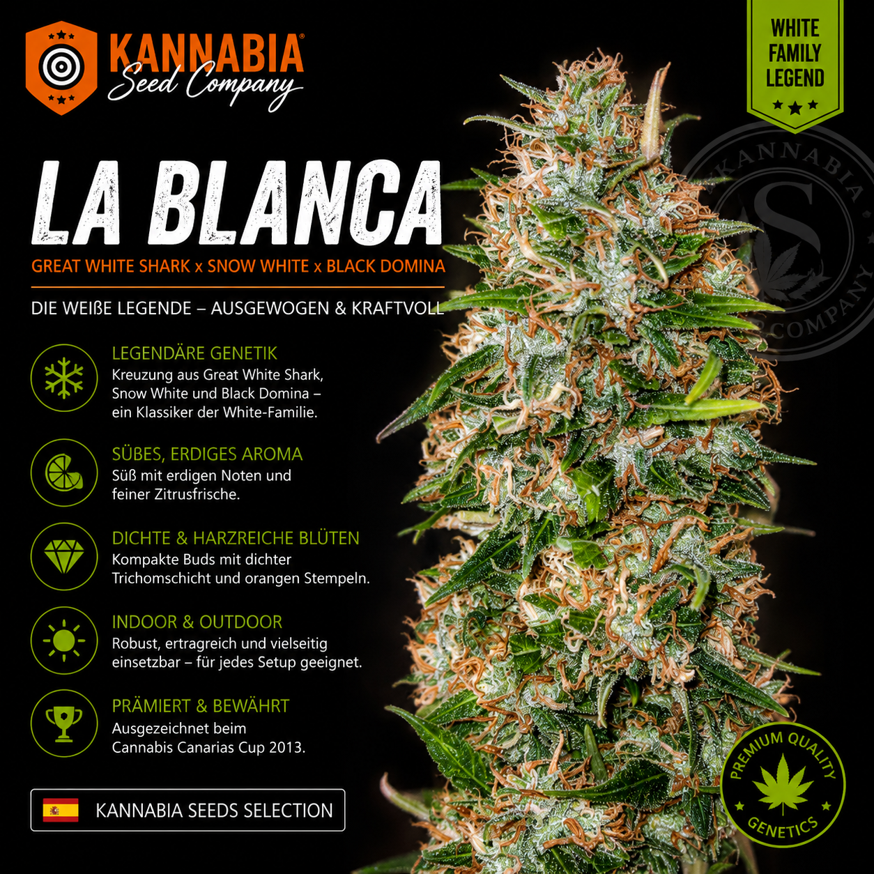 LA BLANCA