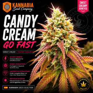 CANDY CREAM GO FAST