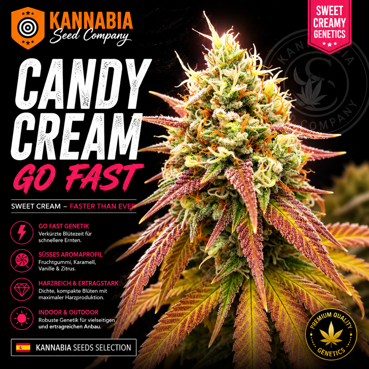 CANDY CREAM GO FAST