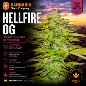HELLFIRE OG