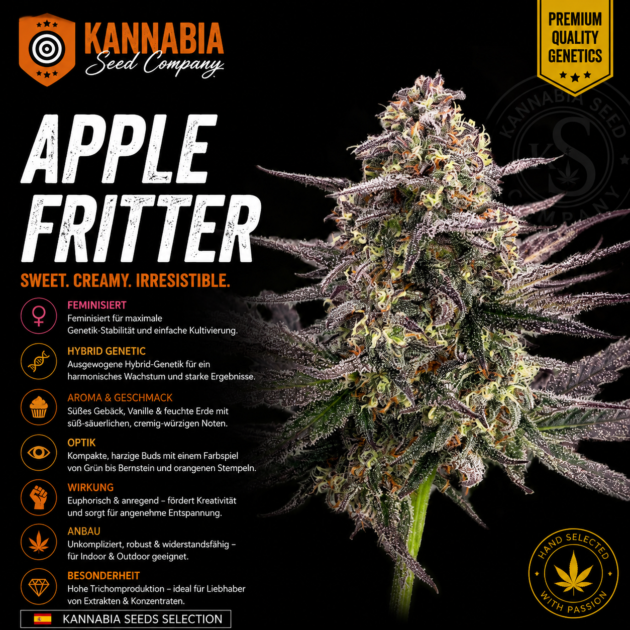 APPLE FRITTER