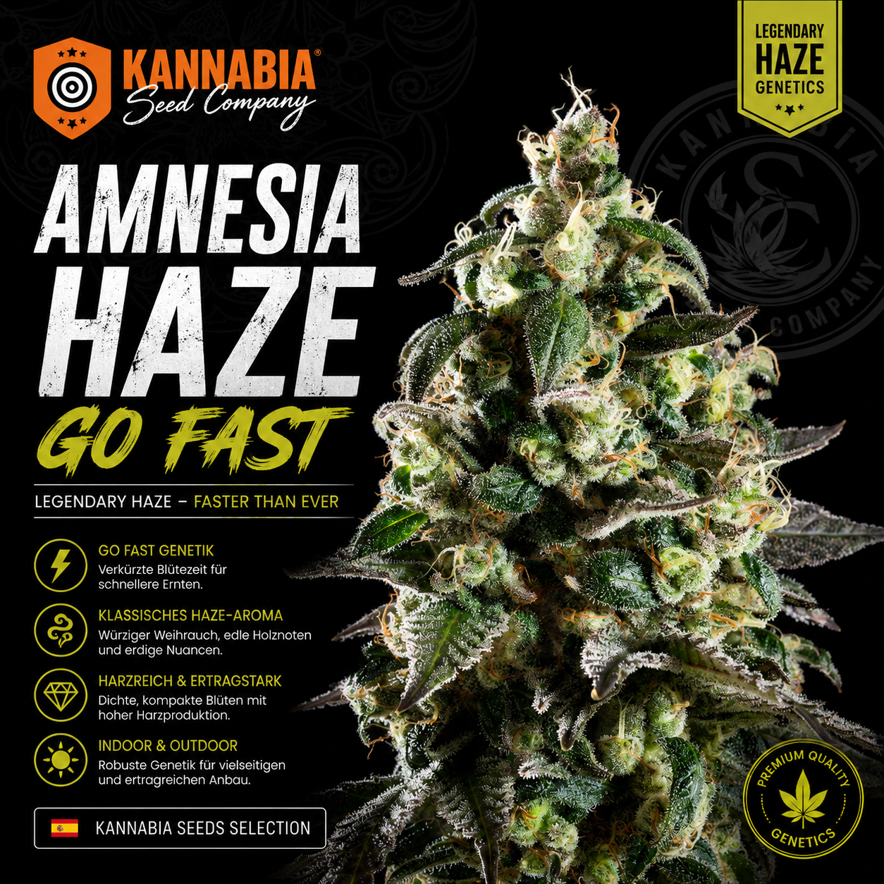 AMNESIA HAZE GO FAST