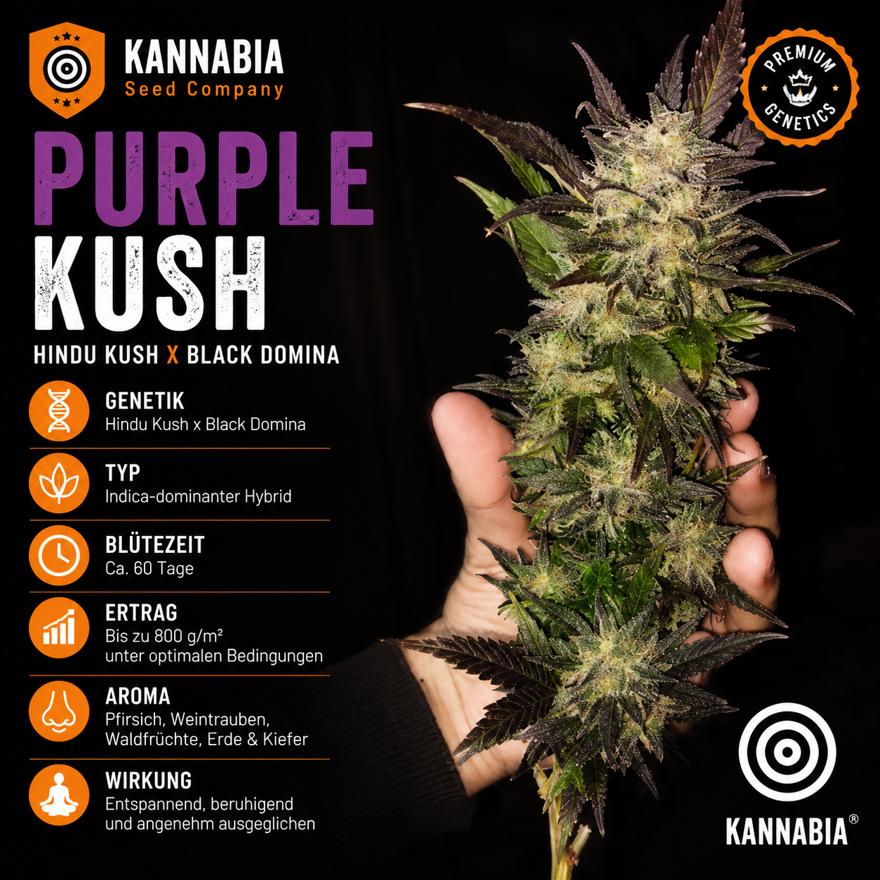 PURPLE KUSH