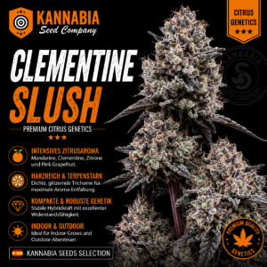 CLEMENTINE SLUSH