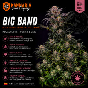 BIG BAND