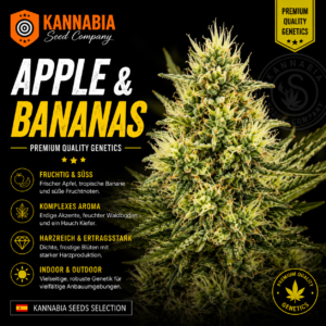 APPLE & BANANAS