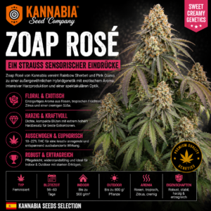 ZOAP ROSÉ