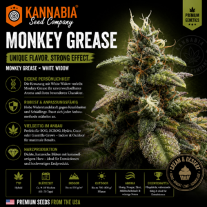 MONKEY GREASE