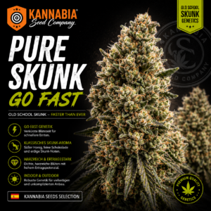 PURE SKUNK GO FAST
