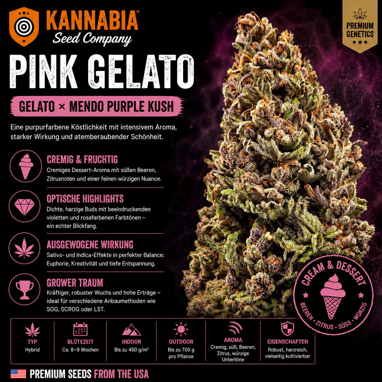 PINK GELATO