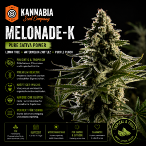MELONADE-K