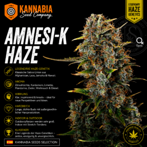 AMNESI-K HAZE