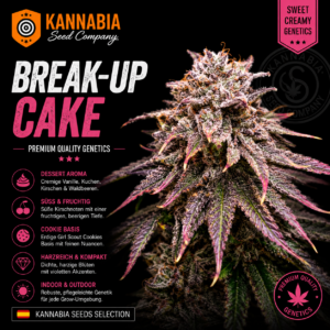 BREAK-UP CAKE