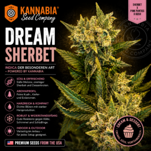DREAM SHERBET