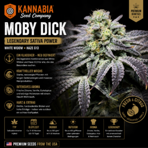 MOBY DICK