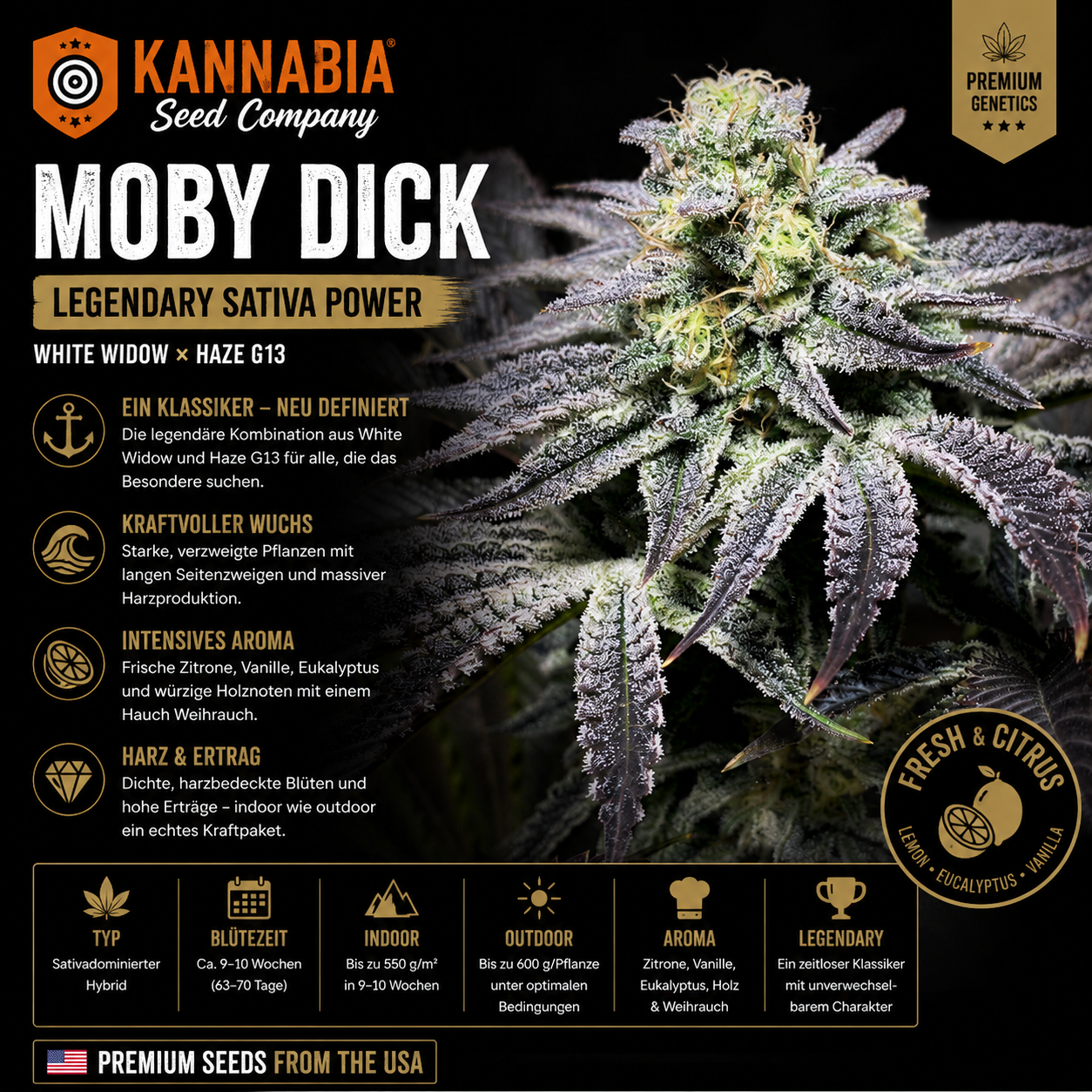 MOBY DICK