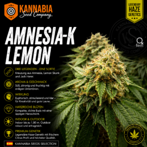 AMNESI-K LEMON