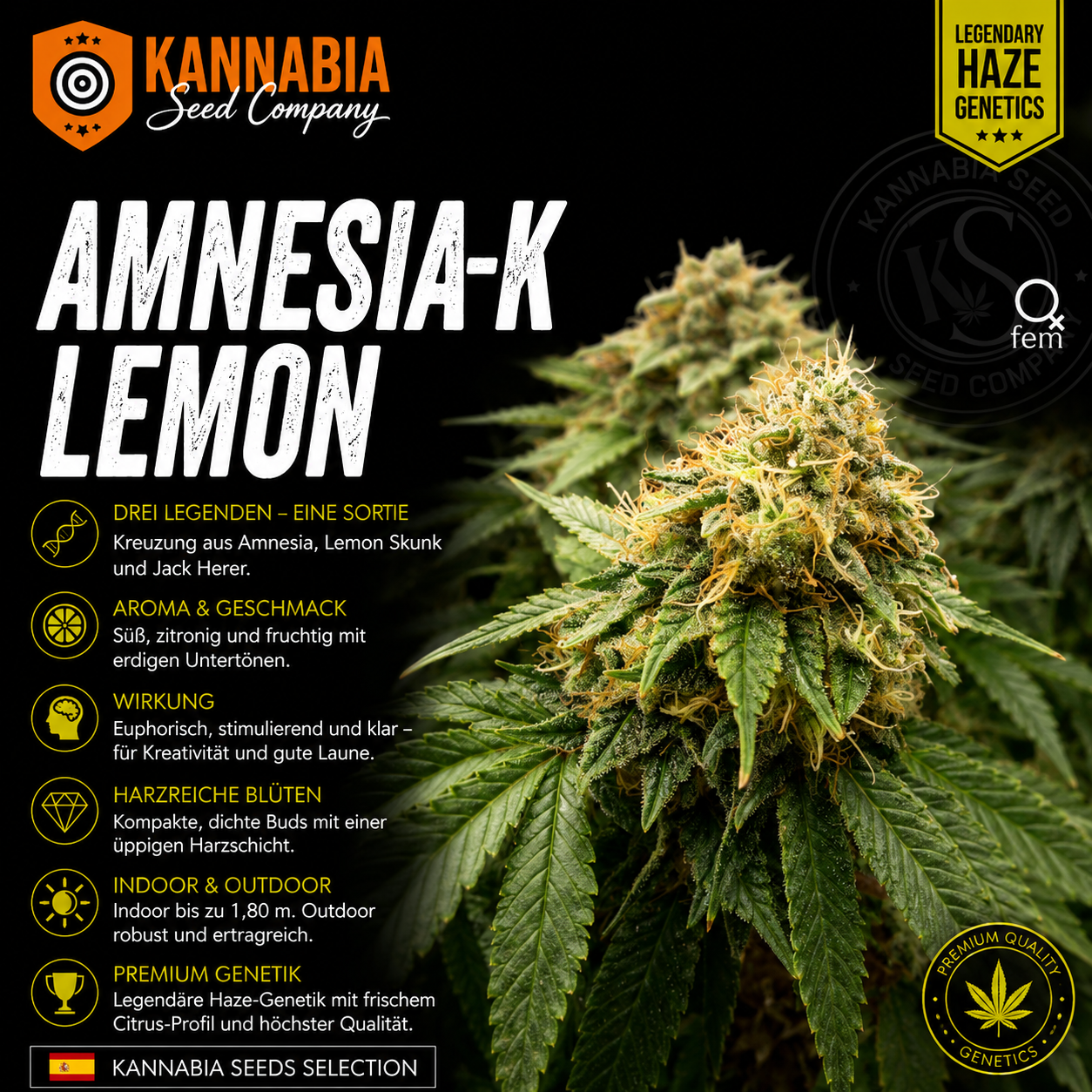 AMNESI-K LEMON