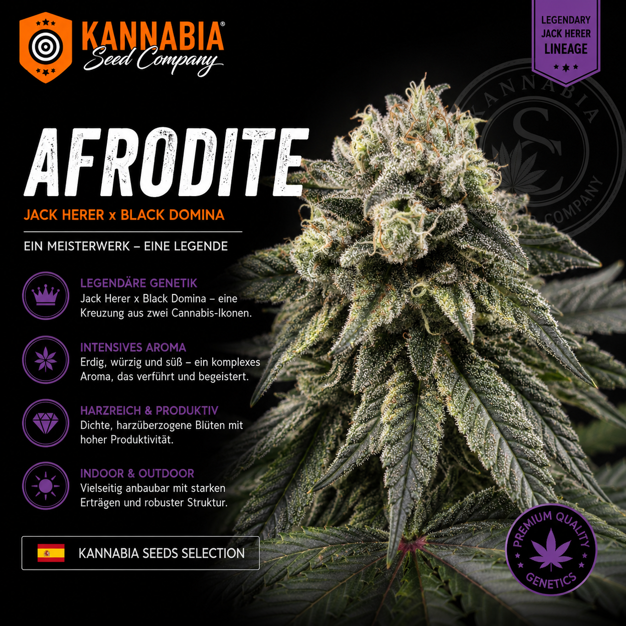AFRODITE