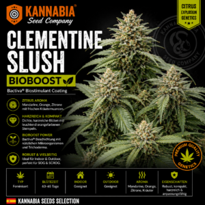 CLEMENTINE SLUSH BIOBOOST