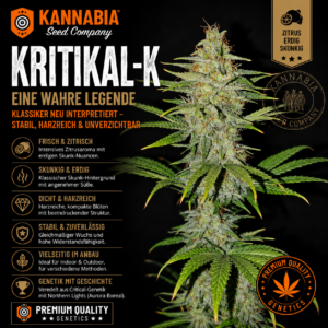 KRITIKAL-K