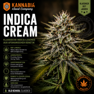 INDICA CREAM