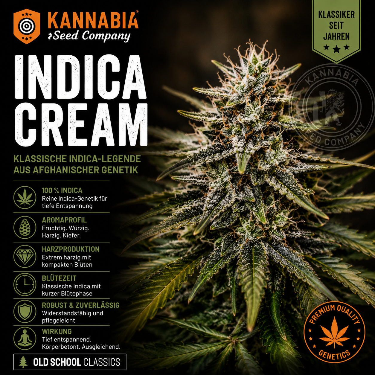INDICA CREAM