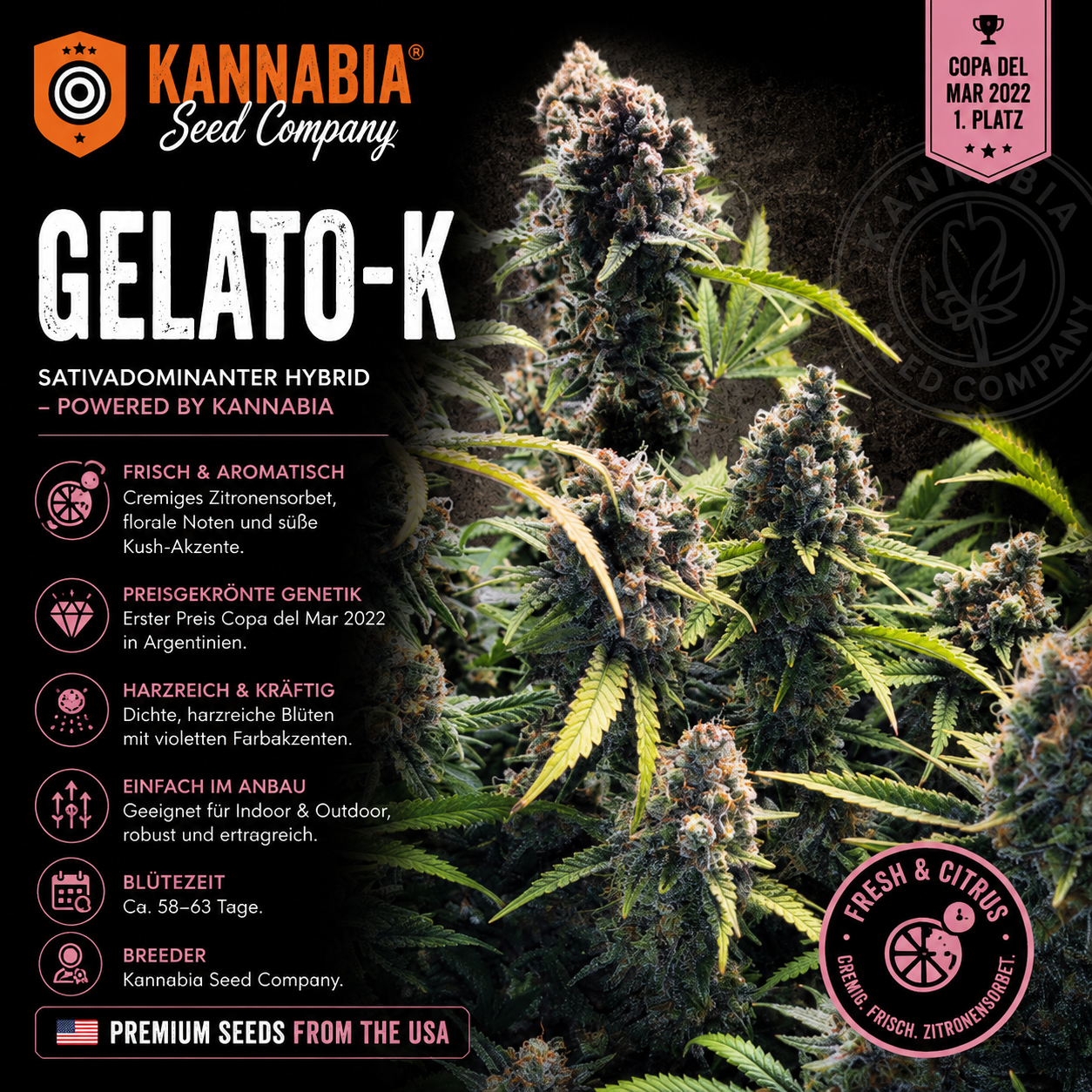 GELATO-K